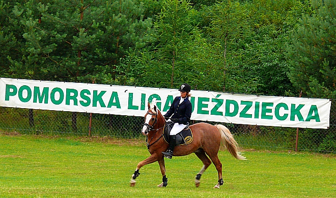 Konie sportowe, jazda konna, konkurs skoków, ośrodek jeździecki