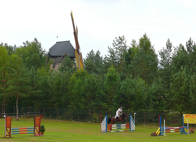 Konie sportowe, jazda konna, konkurs skoków, ośrodek jeździecki