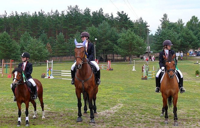 Konie sportowe, jazda konna, konkurs skoków, ośrodek jeździecki