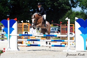 DSC_0120_2.jpg.900x600_q85