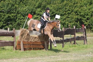 OOM_Bogusławice_-_5.07.2013_111.jpg.900x600_q85