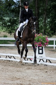 Anhelika Mishlanova Somah Geli