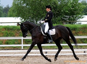 Mariana Mishlanova Podpora Sayuri