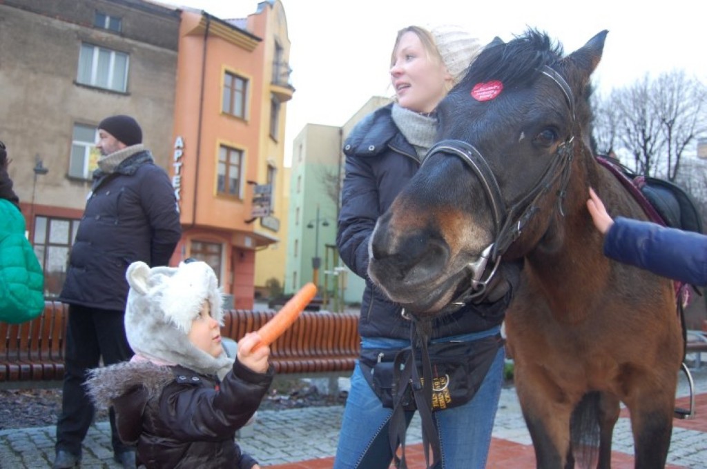 Joanna nie jest zainteresowana marchewką...ciekawe co pochłonęło jej uwagę?