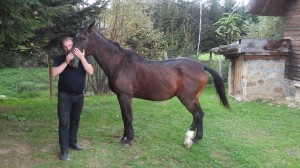 Rozmowom i czułościom nie było końca.