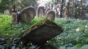 Podróż skłaniała do refleksji, ...