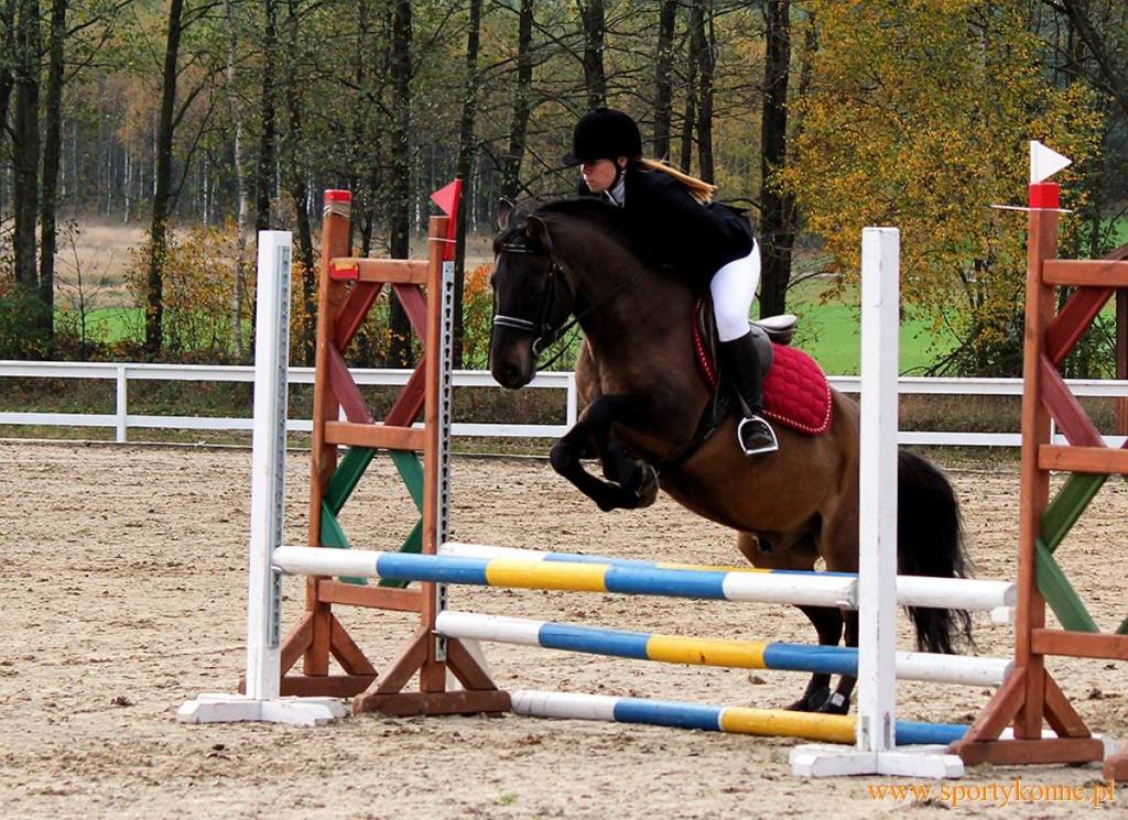 Wiktoria Witkowska i Legwan de Treville