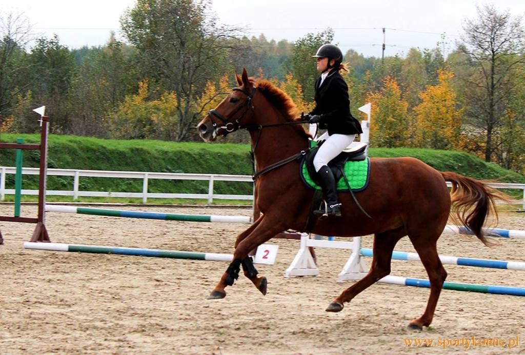 Agnieszka Rzemieniecka i De Gabura