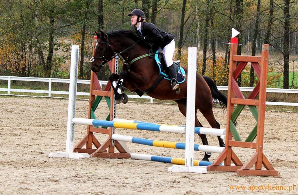 Anna Reglińska i Casino Royal