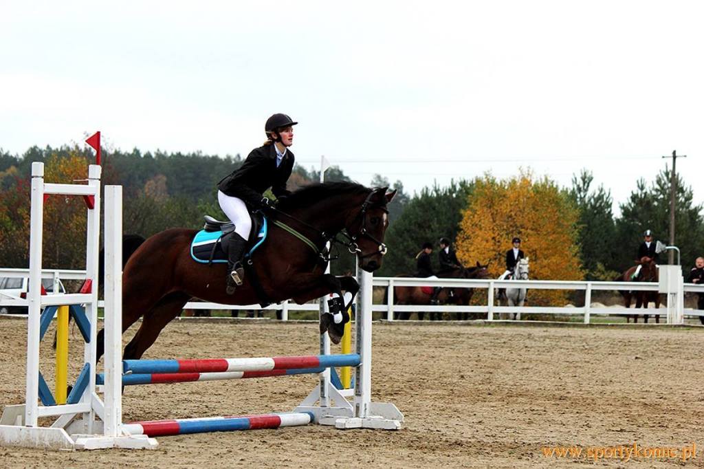 Anna Reglińska i Casino Royal