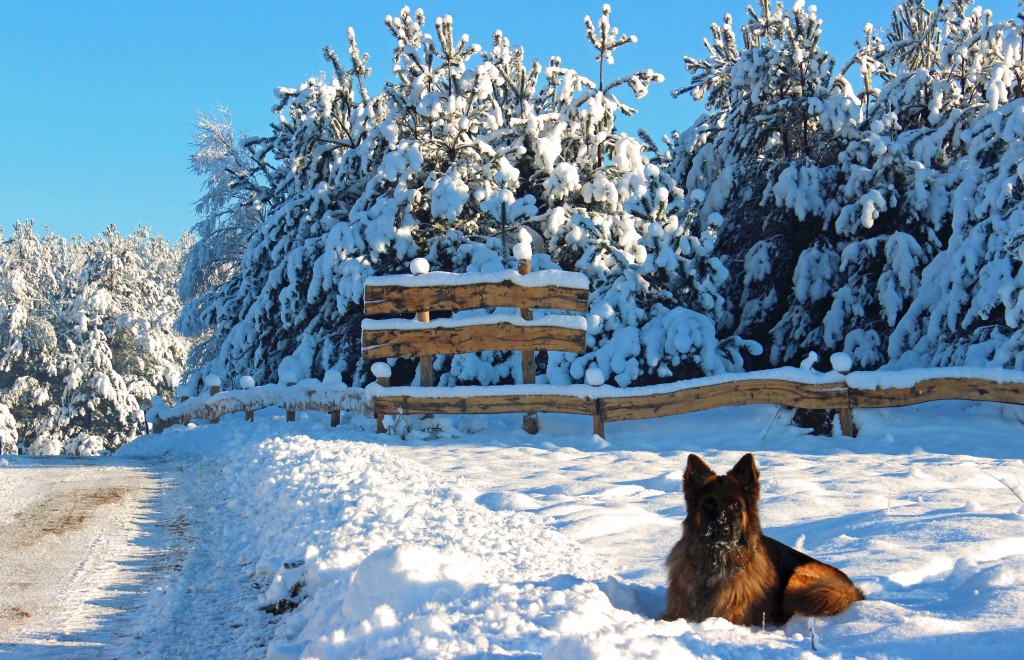Jeżeli Lupuska nie było przy Pegazowskazie, to na pewno zastaniecie go przy pustej zimą tablicy.