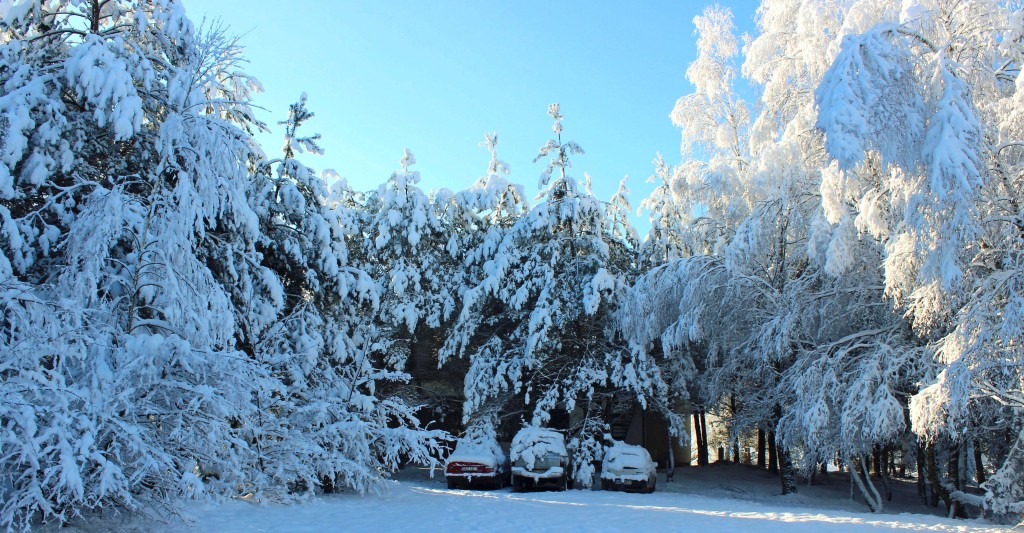 Samochód zaparkujcie obok wiernych pociągowych mułów Ośrodka: Mesia, Toyoty i Bąbla.