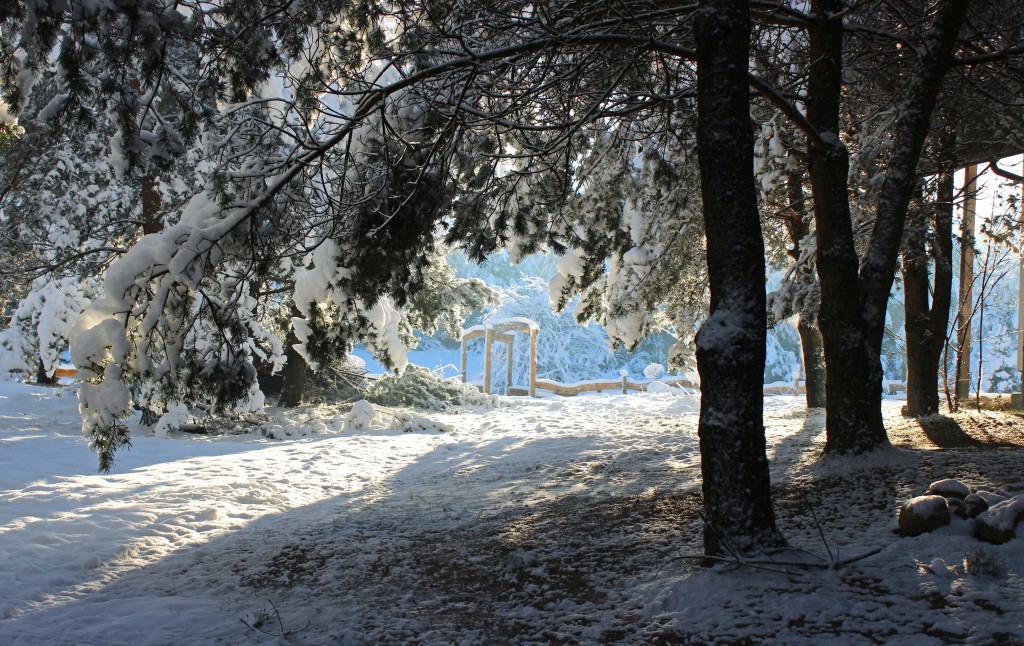 W dalszą drogę udajcie się pieszo, aleją światła, lodu i śniegu.